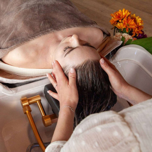 Académie du Cuir chevelu 🎓