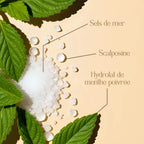 Gommage Cuir chevelu